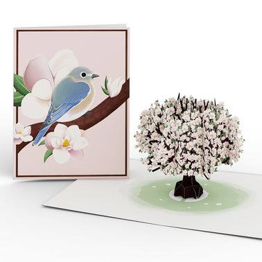 Moments That Matter Box Set (Assorted 12-pack): Paperpop® Card