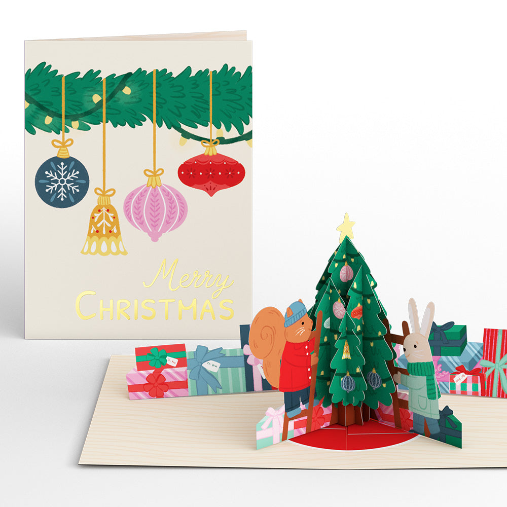 Woodland Wonder Christmas Box Set (Assorted 12-pack): Paperpop® Card