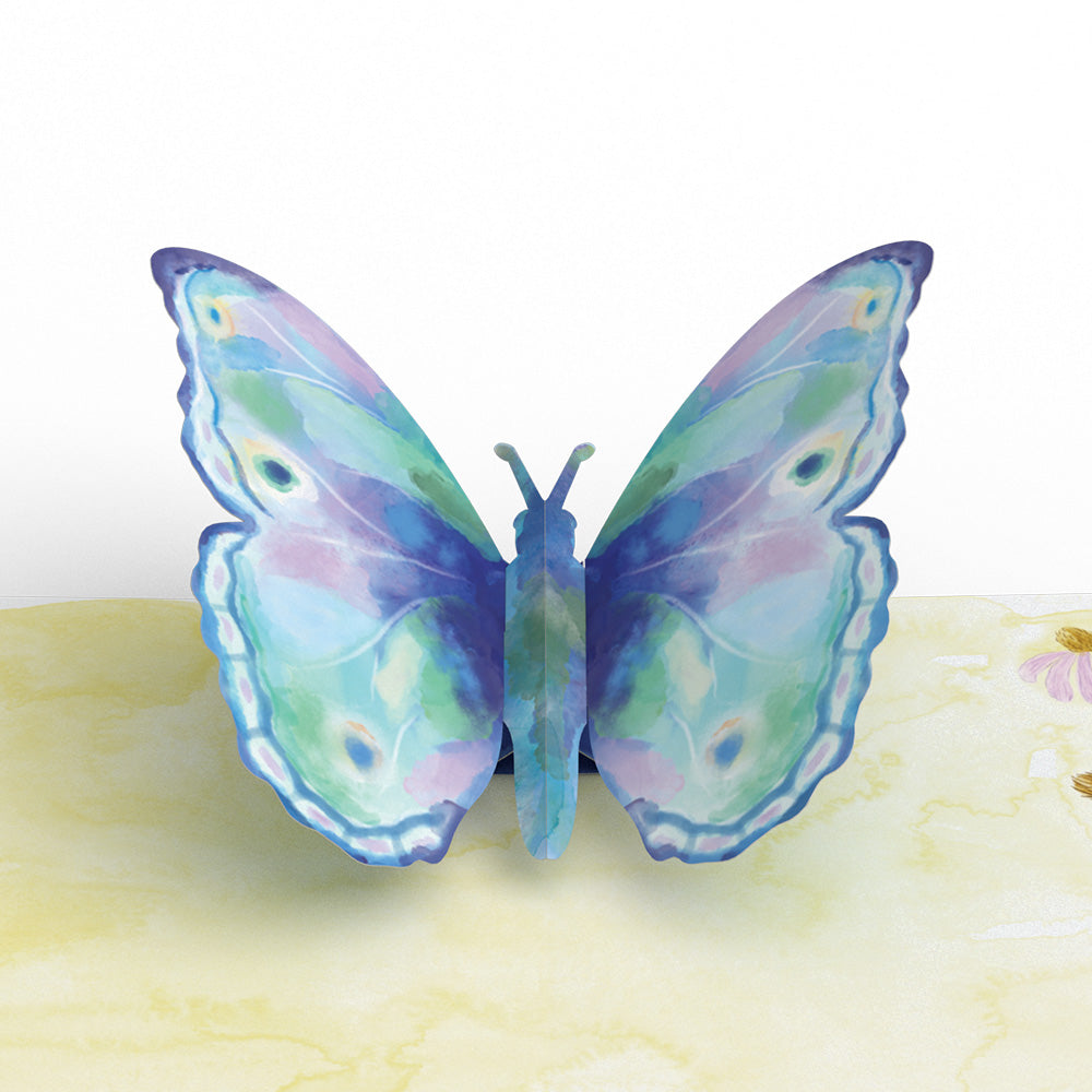 Watercolor Wings Box Set (Assorted 12-pack): Paperpop® Card