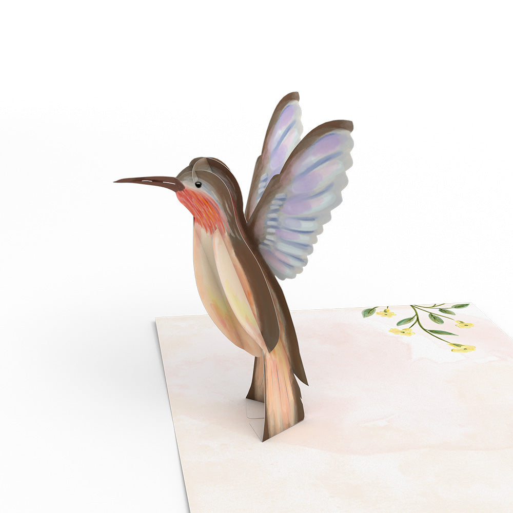Watercolor Wings Box Set (Assorted 12-pack): Paperpop® Card