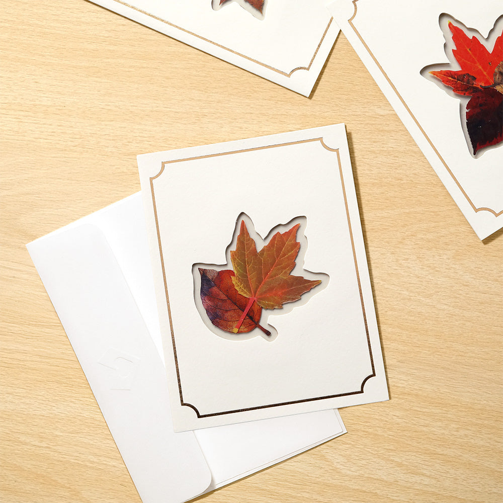 Petal Pressed™ Blank Notecards - Autumn Leaves (Assorted 12-Pack)