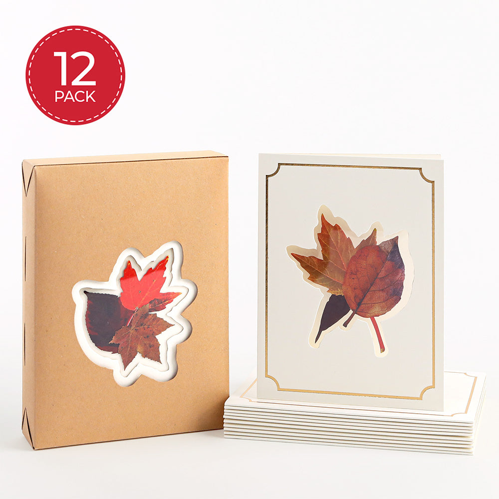 Petal Pressed™ Blank Notecards - Autumn Leaves (Assorted 12-Pack)