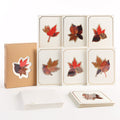 Petal Pressed™ Blank Notecards - Autumn Leaves (Assorted 12-Pack)
