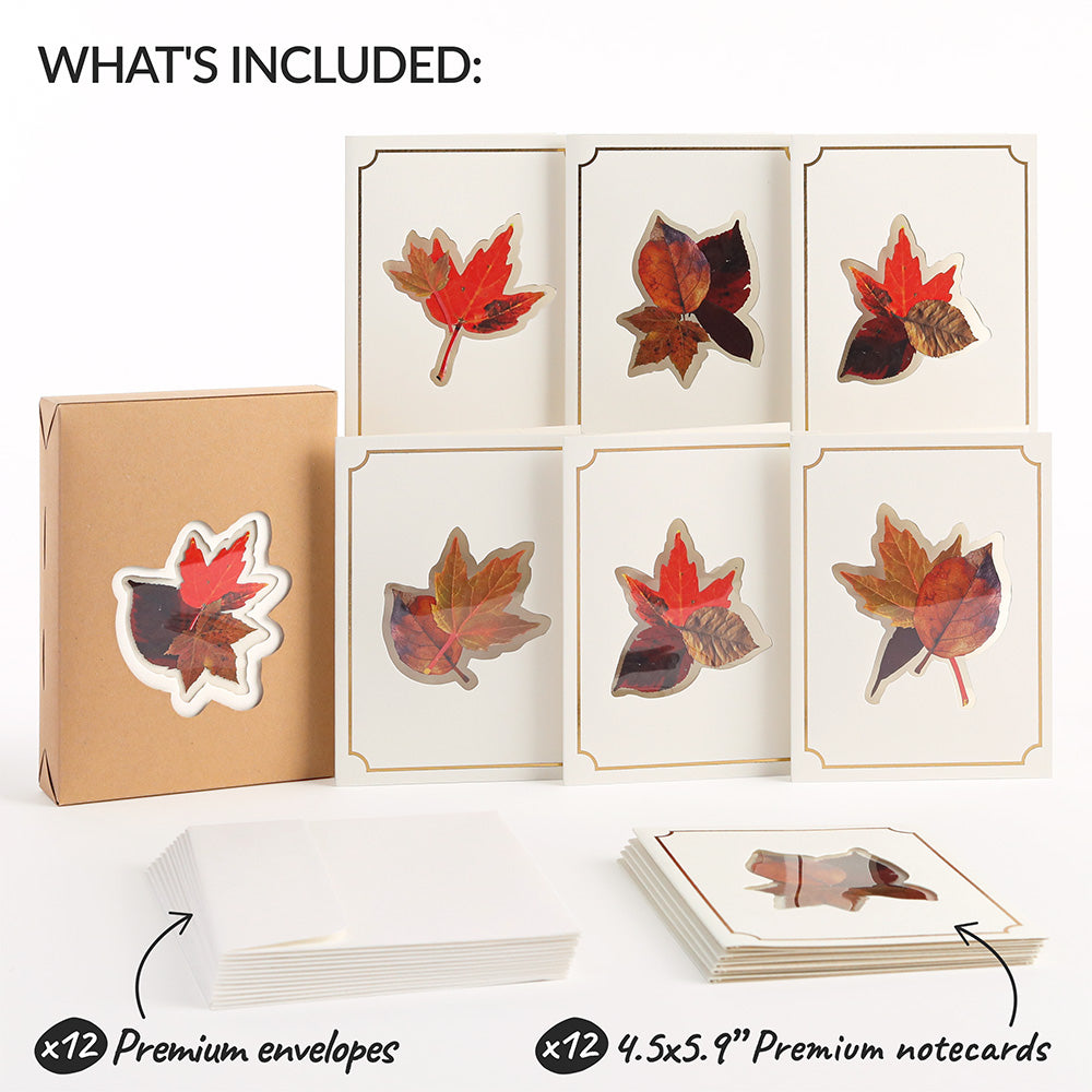 Petal Pressed™ Blank Notecards - Autumn Leaves (Assorted 12-Pack)