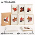 Petal Pressed™ Blank Notecards - Autumn Leaves (Assorted 12-Pack)