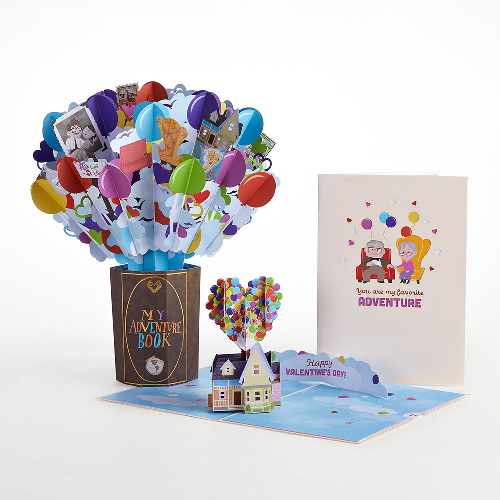 Disney and Pixar Up My Greatest Adventure Valentine Bundle