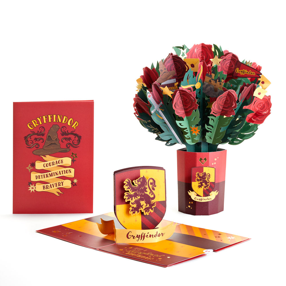 Harry Potter Sweet Birthday Bundle – Lovepop