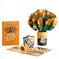 Harry Potter™ Hufflepuff™ Birthday Bundle – Lovepop