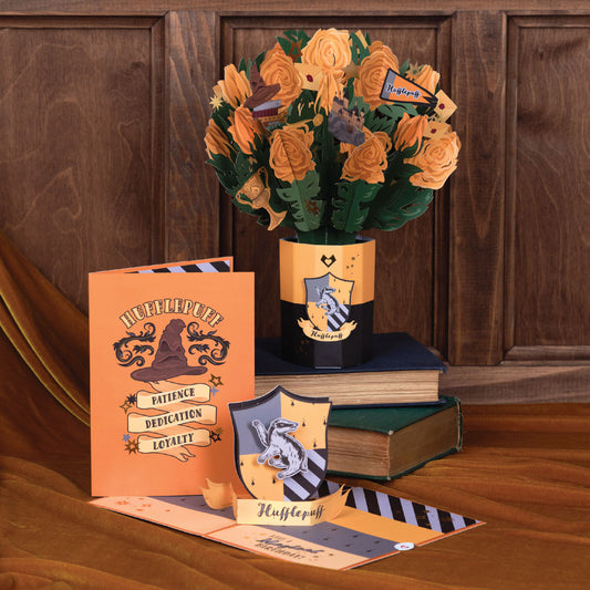 Harry Potter™ Hufflepuff™ Birthday Bundle