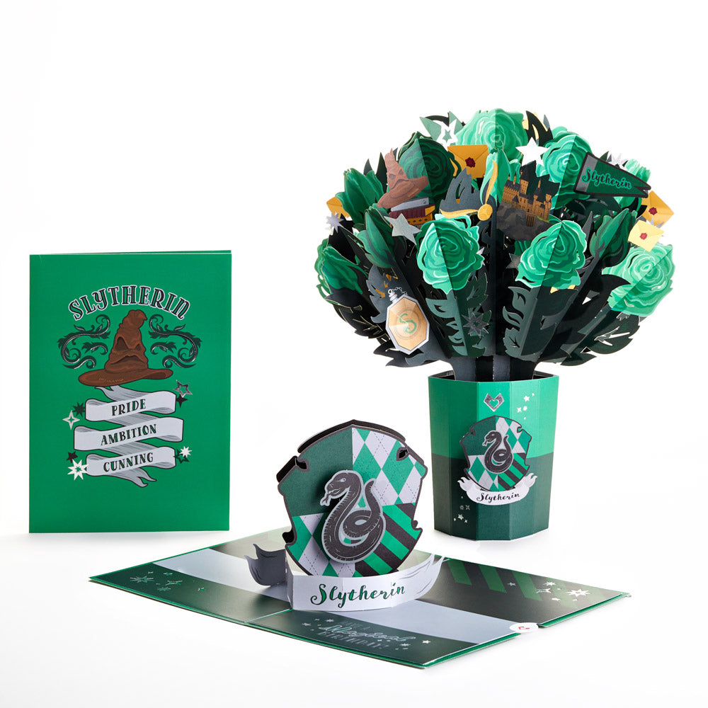 Harry Potter™ Slytherin™ Birthday Bundle