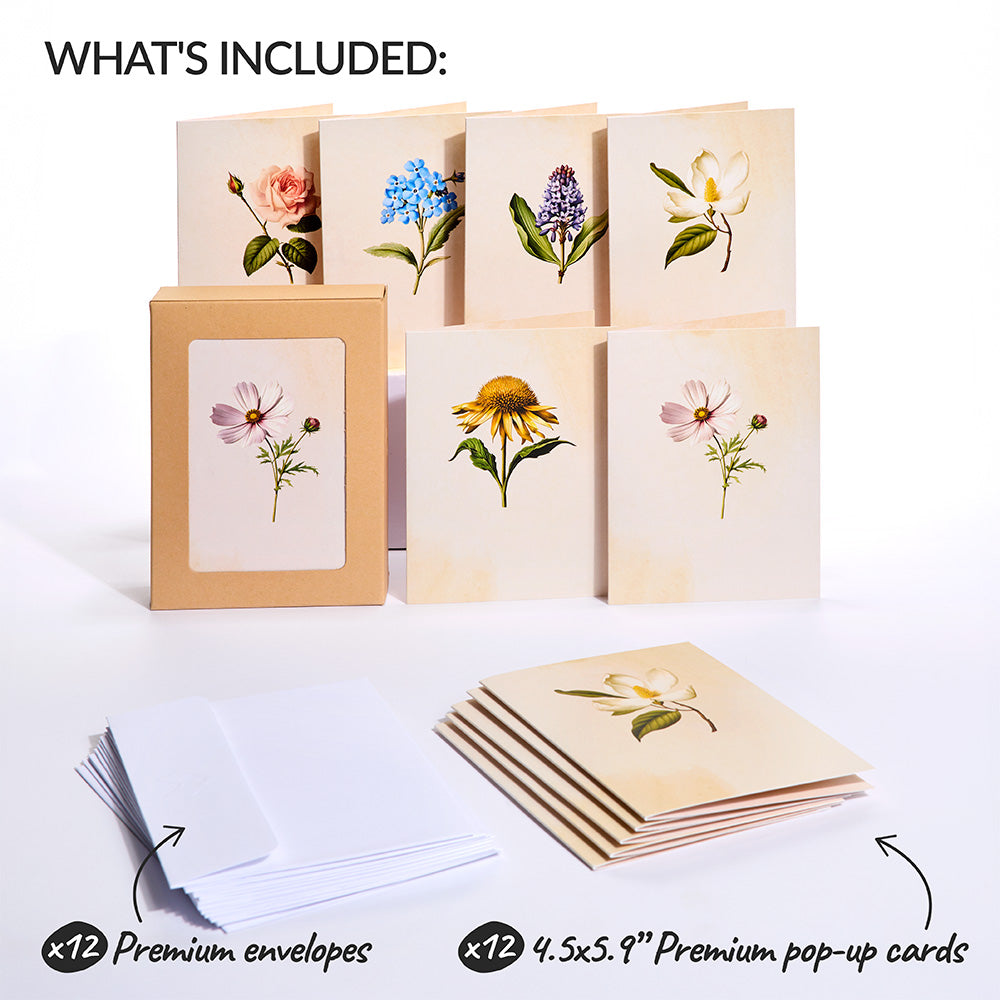 Beautiful Botanicals Box Set (Assorted 12-Pack): Paperpop® Card