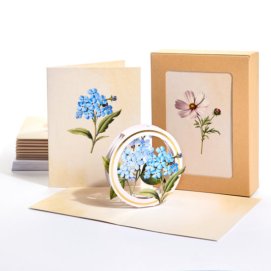 Beautiful Botanicals 12-Pack 
Box Set of Blank Notecards: Paperpop® Card