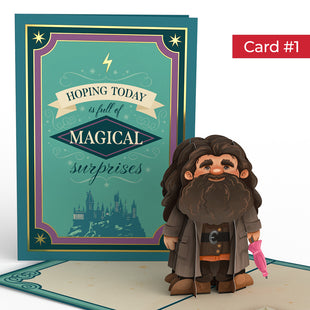 Harry Potter™ Magical Birthday Surprises 4-in-1 Nesting Card