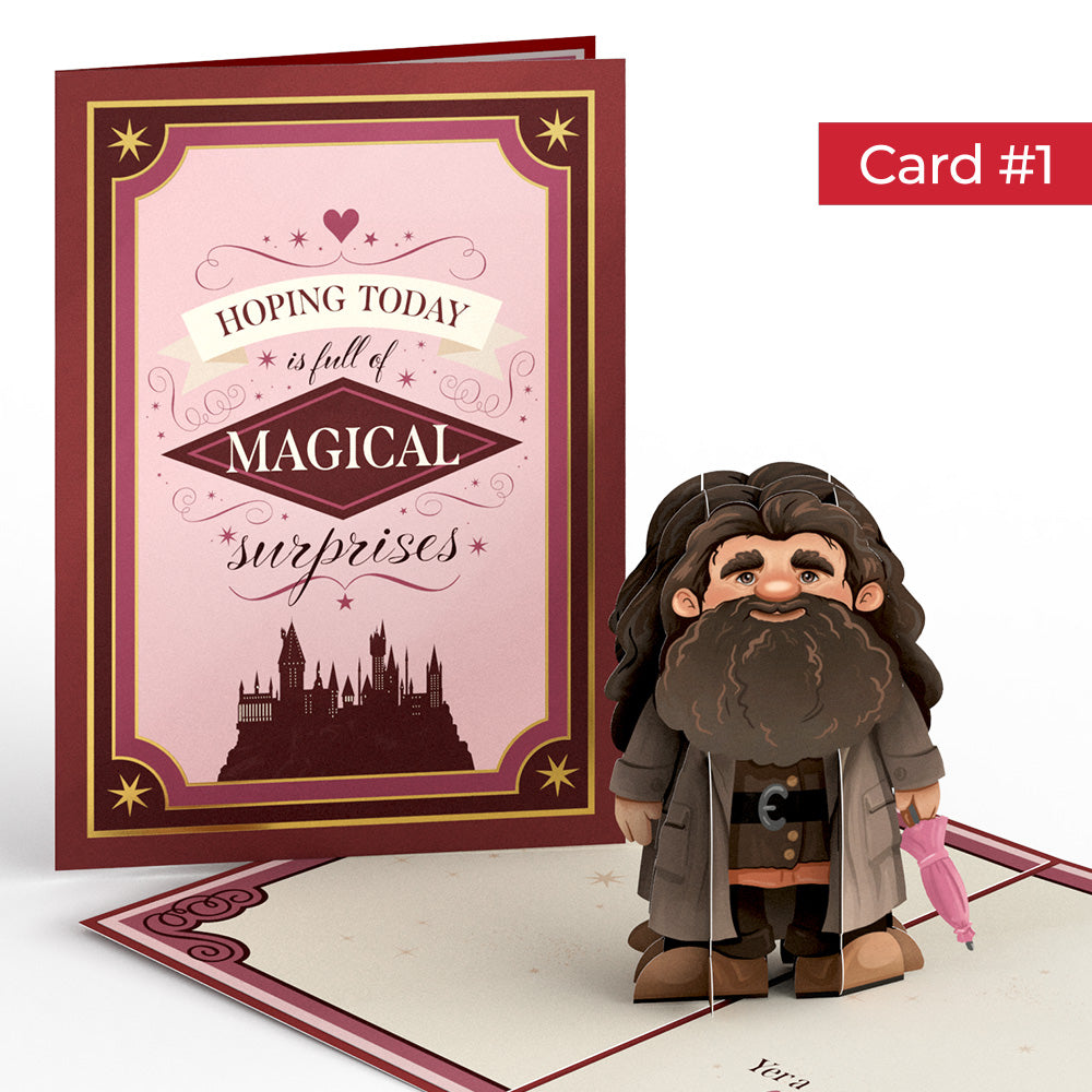 Harry Potter™ Magical Valentine's Day 4-in-1 Nesting Card