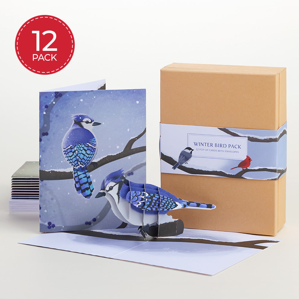 Seasonal Birds Box Set Bundle (Assorted 36-Pack): Paperpop® Card
