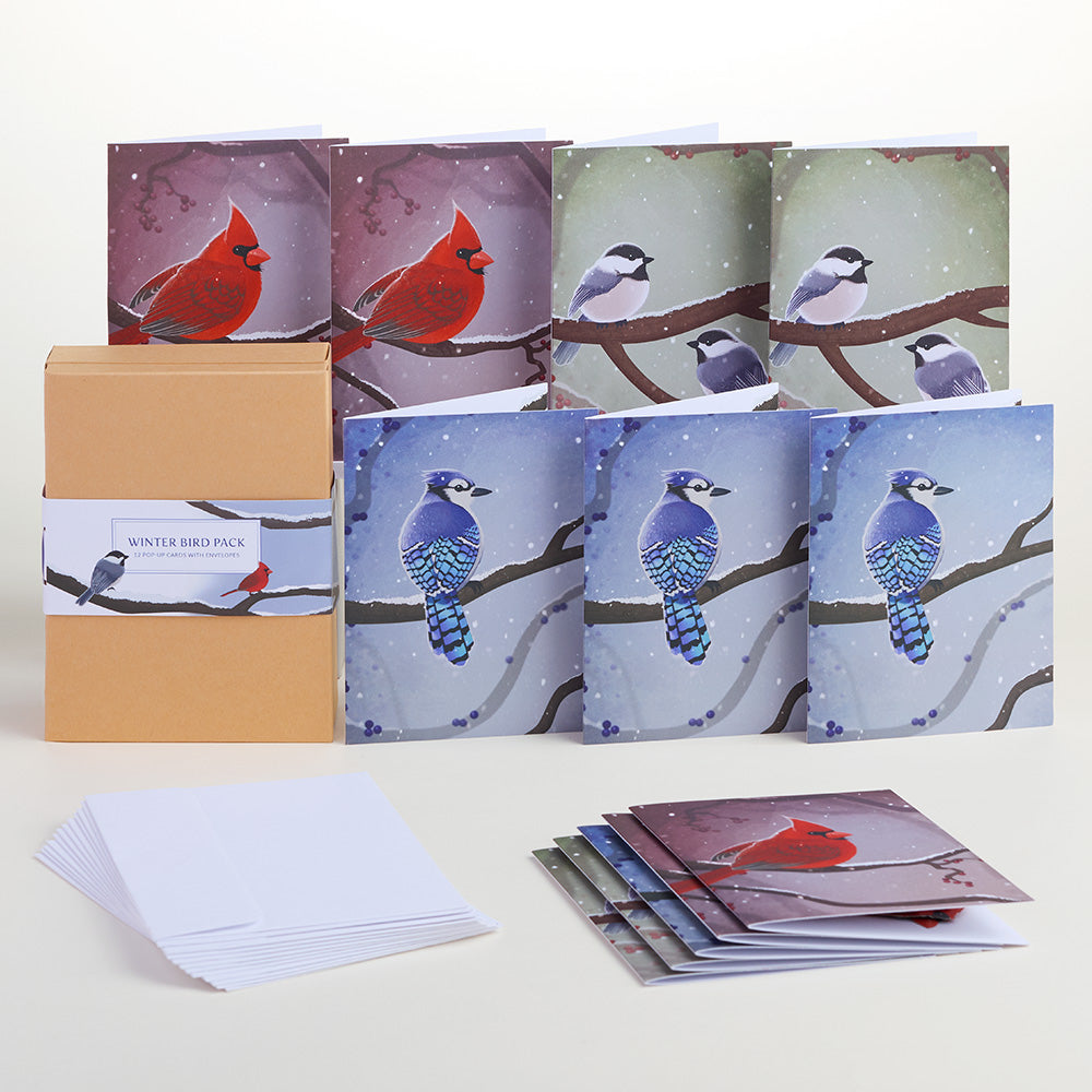 Winter Bird Box Set (Assorted 12-Pack): Paperpop® Card