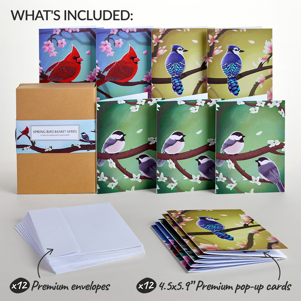 Seasonal Birds Box Set Bundle (Assorted 36-Pack): Paperpop® Card