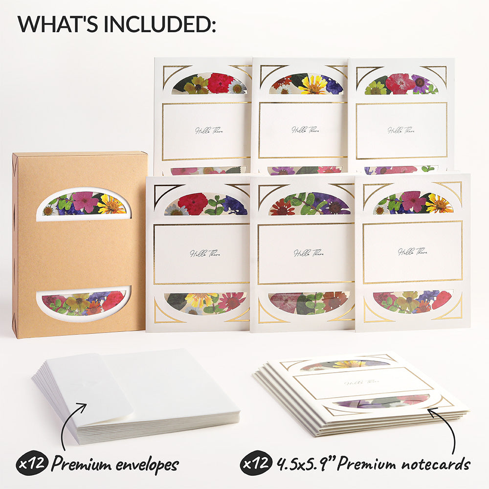 Petal Pressed™ ‘Hello There’ Notecards - Cheerful Brights (Assorted 12-Pack)