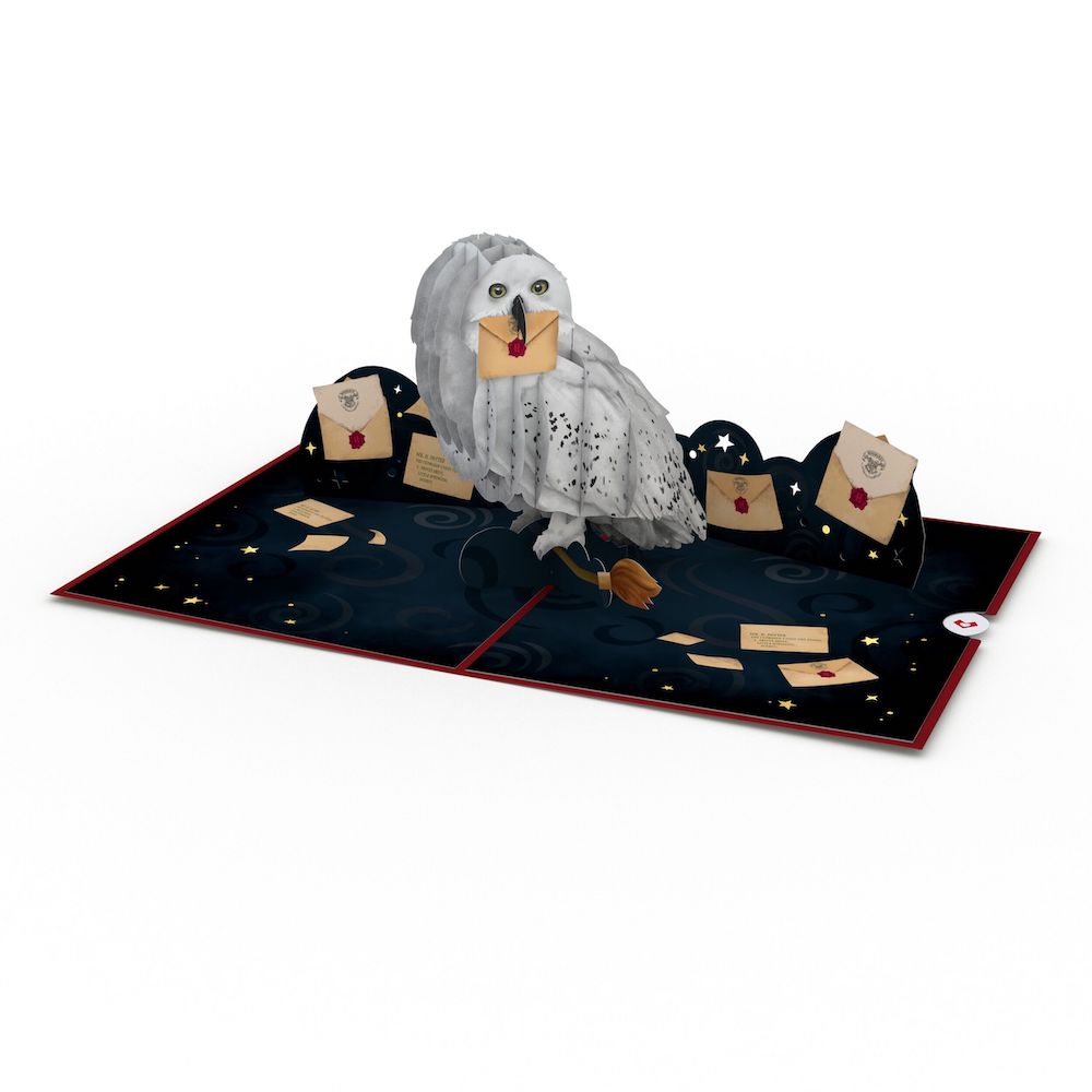 Harry Potter™ Hedwig™ Birthday Pop-Up Card & Flower Buds Bouquet Bundle