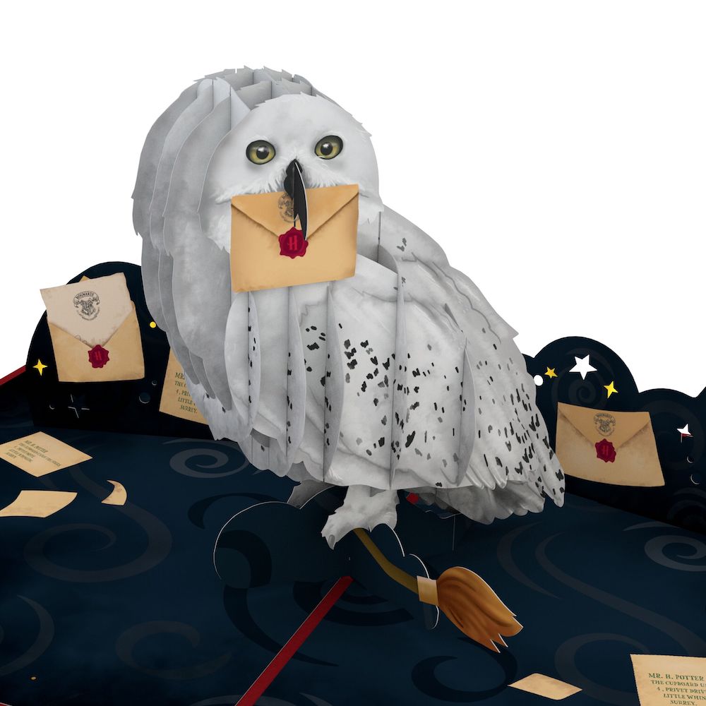 Harry Potter™ Hedwig™ Birthday Pop-Up Card & Flower Buds Bouquet Bundle