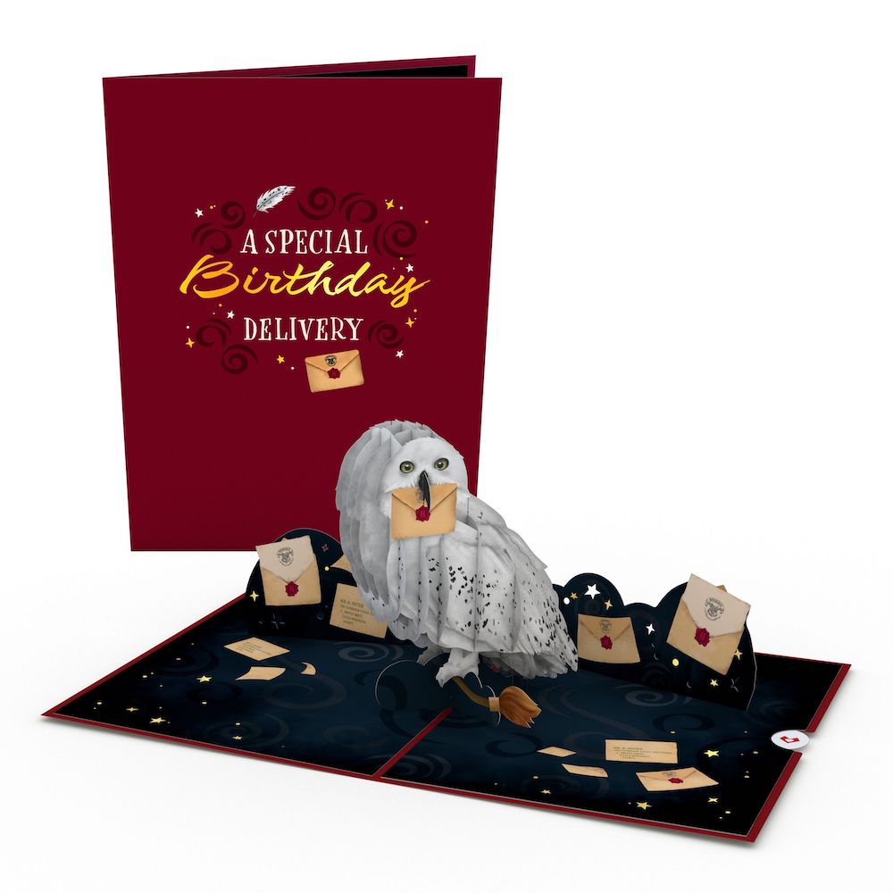 Harry Potter™ Hedwig™ Birthday Pop-Up Card & Flower Buds Bouquet Bundle