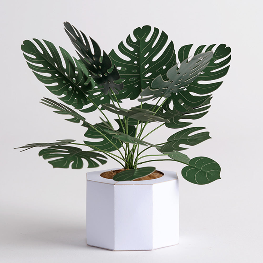 Paper Monstera Plant DIY Kit