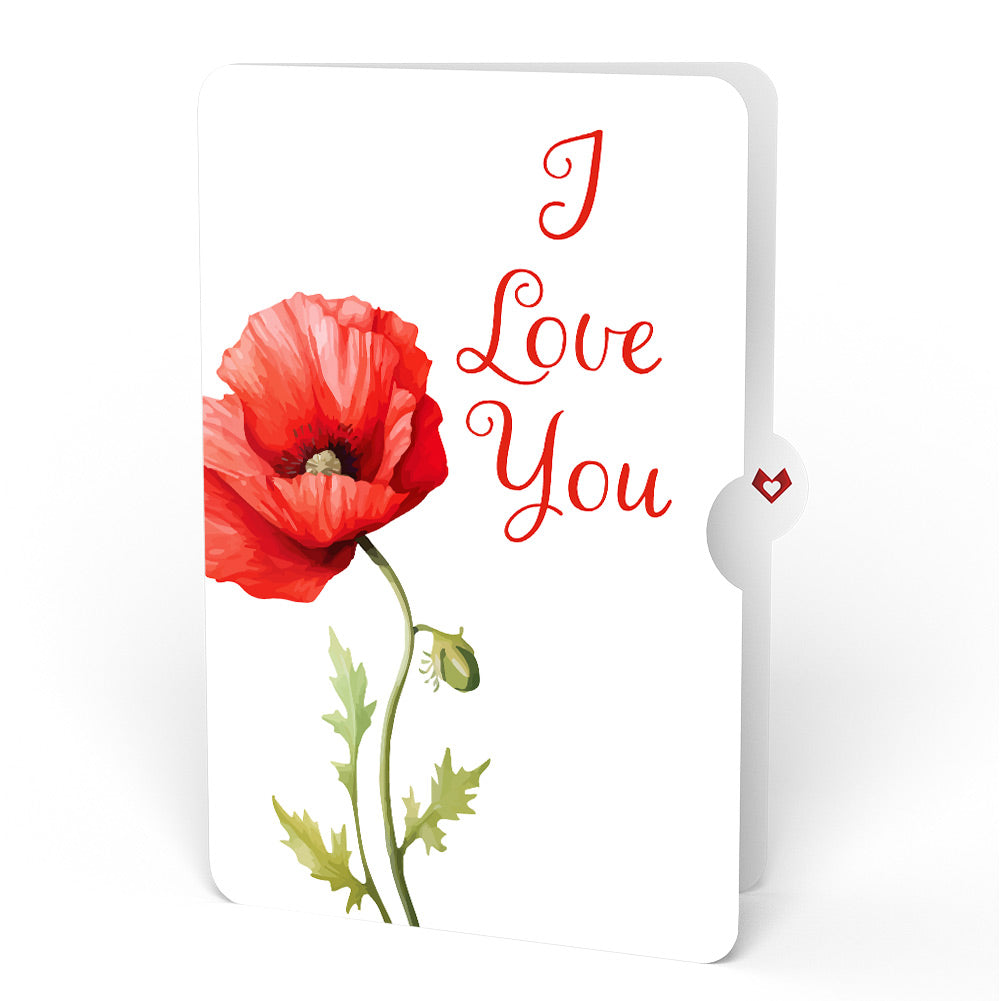 Born to Bloom: August Birth Month Flowers Love Pop-Up Card and Sentiment Set
