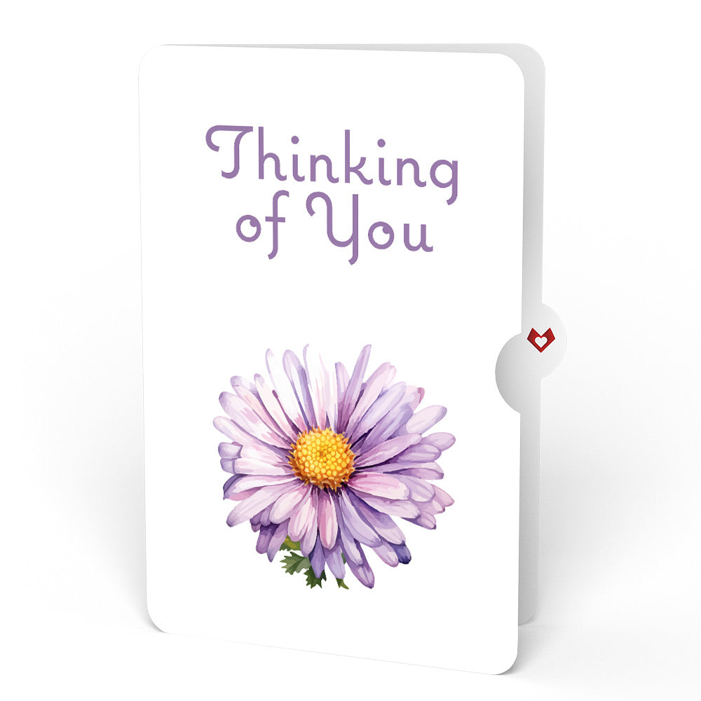 Born to Bloom: September Birth Month Flowers Thinking of You Pop-Up Card and Sentiment Set