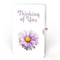 Born to Bloom: September Birth Month Flowers Thinking of You Pop-Up Card and Sentiment Set