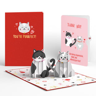 Love Cats Thank You Pop-Up Card and Sentiment Set greeting card -  Lovepop