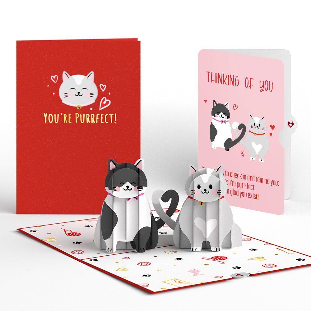 Love Cats Thinking of You Pop-Up Card and Sentiment Set