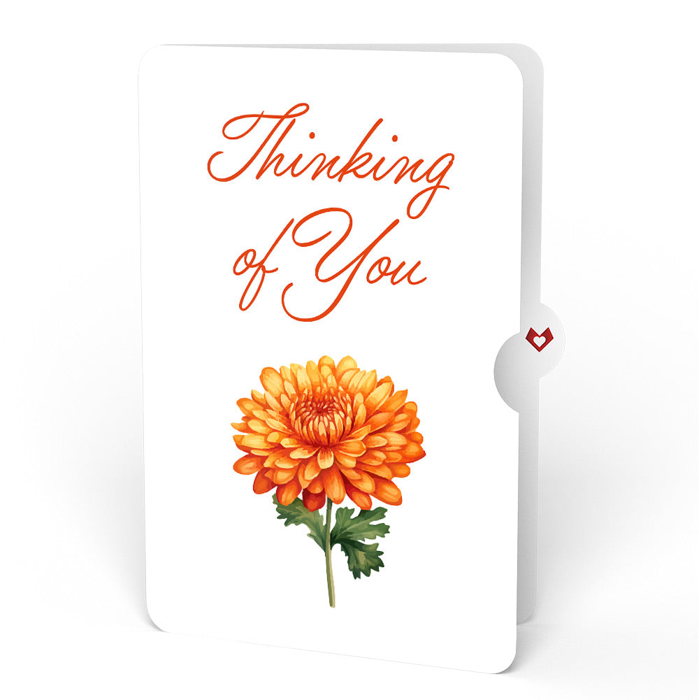 Born to Bloom: November Birth Month Flowers Thinking of You Pop-Up Card and Sentiment Set