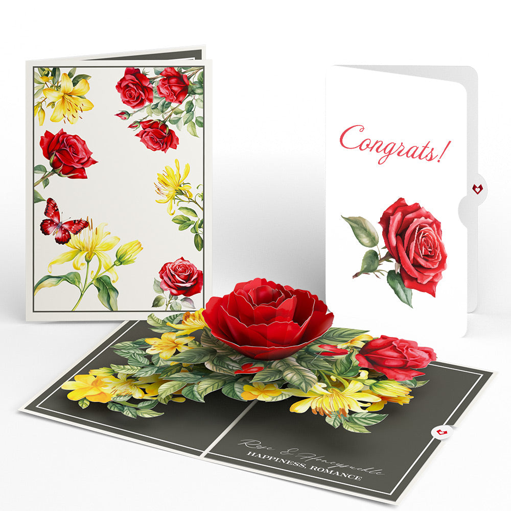 Born to Bloom: June Birth Month Flowers Congratulations Pop-Up Card and Sentiment Set