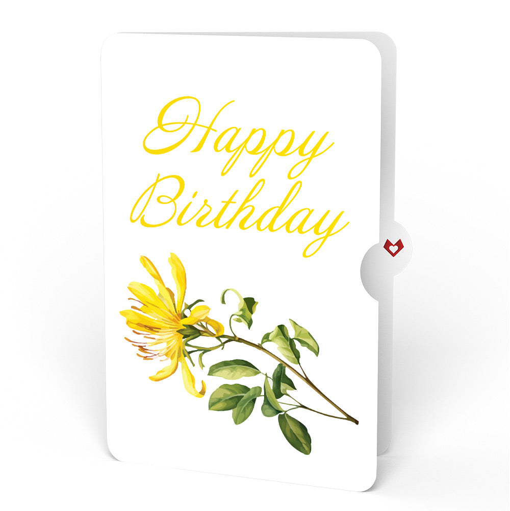 Born to Bloom: June Birth Month Flowers Pop-Up Card and Sentiment Set