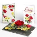 Born to Bloom: June Birth Month Flowers Pop-Up Card and Rose Sentiment Set