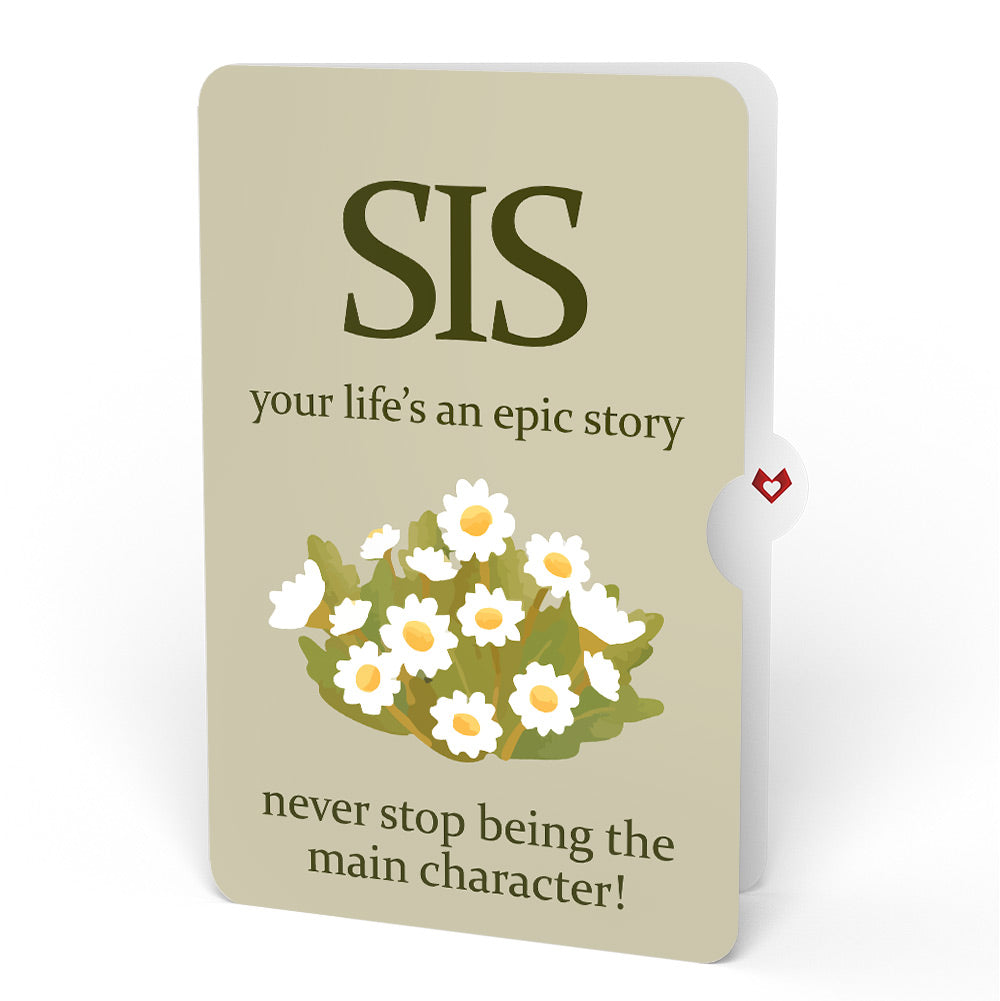 Cheers to a New Chapter Birthday Pop-Up Card and Sentiment Set for Sister
