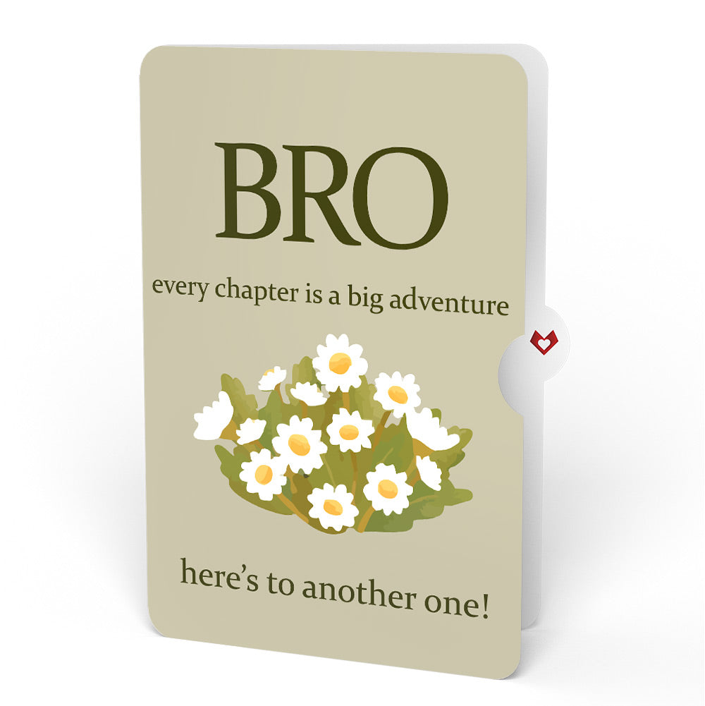 Cheers to a New Chapter Birthday Pop-Up Card and Sentiment Set for Brother