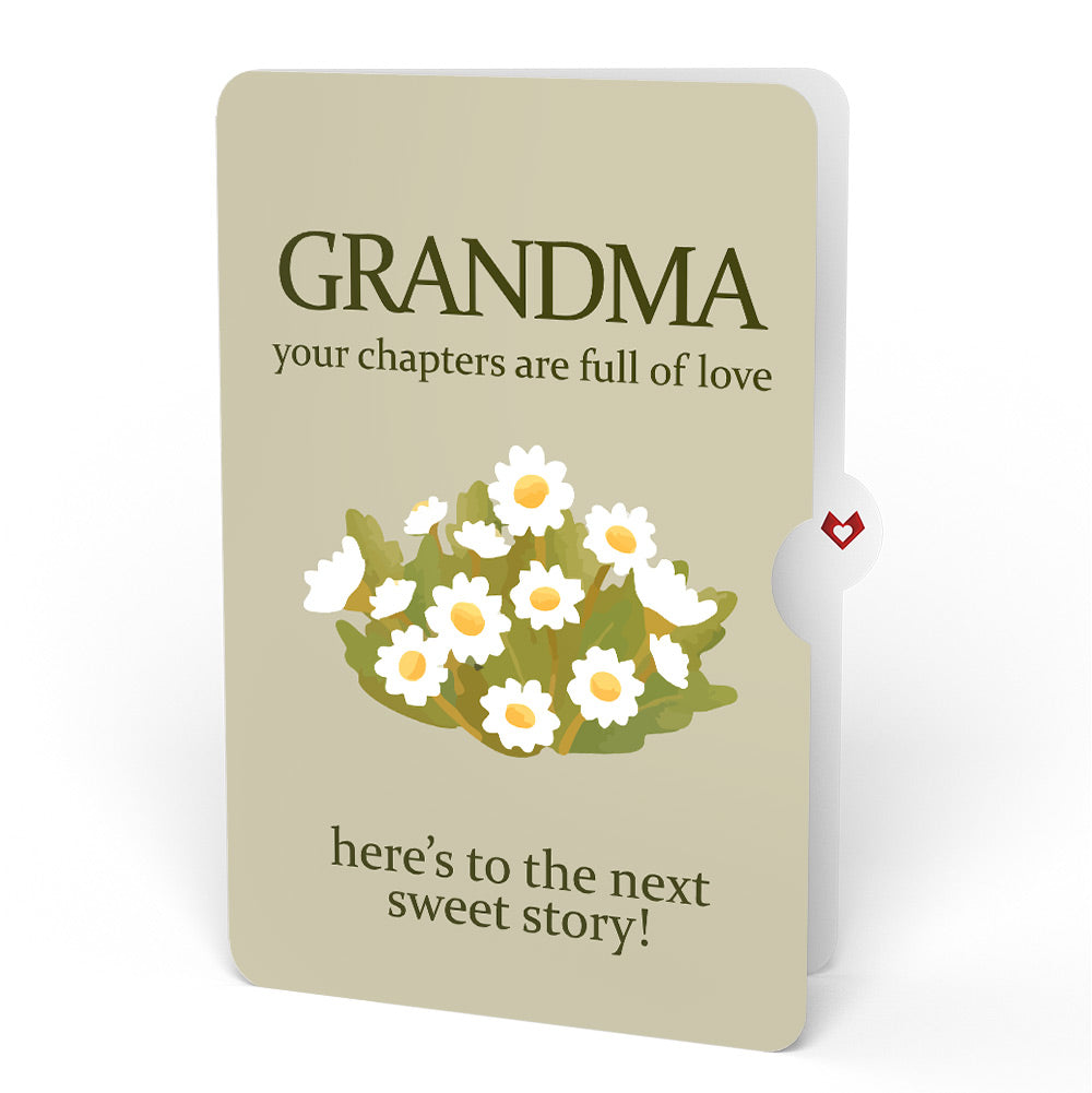 Cheers to a New Chapter Birthday Pop-Up Card and Sentiment Set for Grandma
