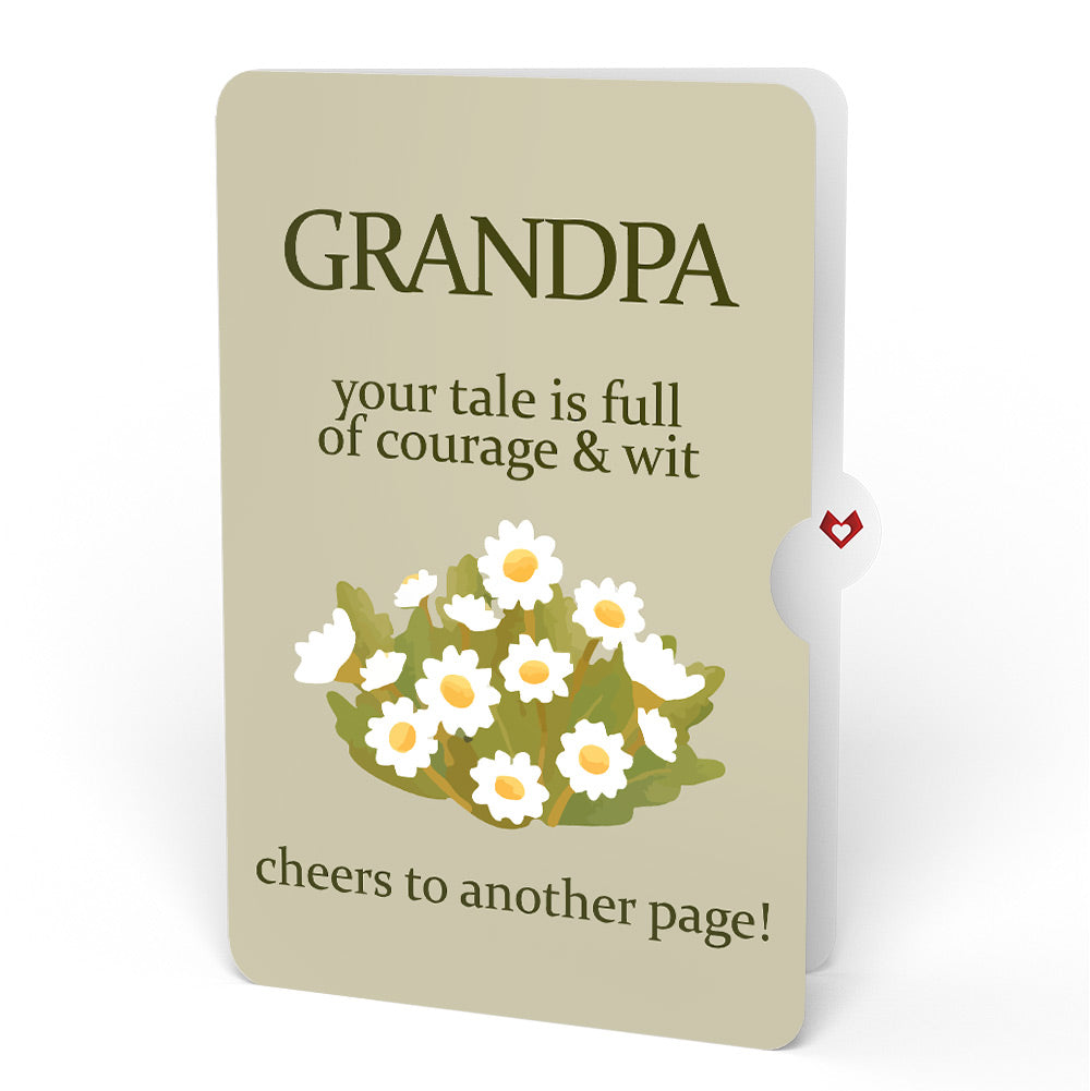 Cheers to a New Chapter Birthday Pop-Up Card and Sentiment Set for Grandpa