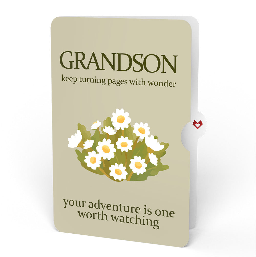 Cheers to a New Chapter Birthday Pop-Up Card and Sentiment Set for Grandson