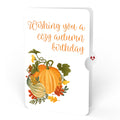 Fall is in the Air Cozy Birthday Pop-Up Card and Sentiment Set
