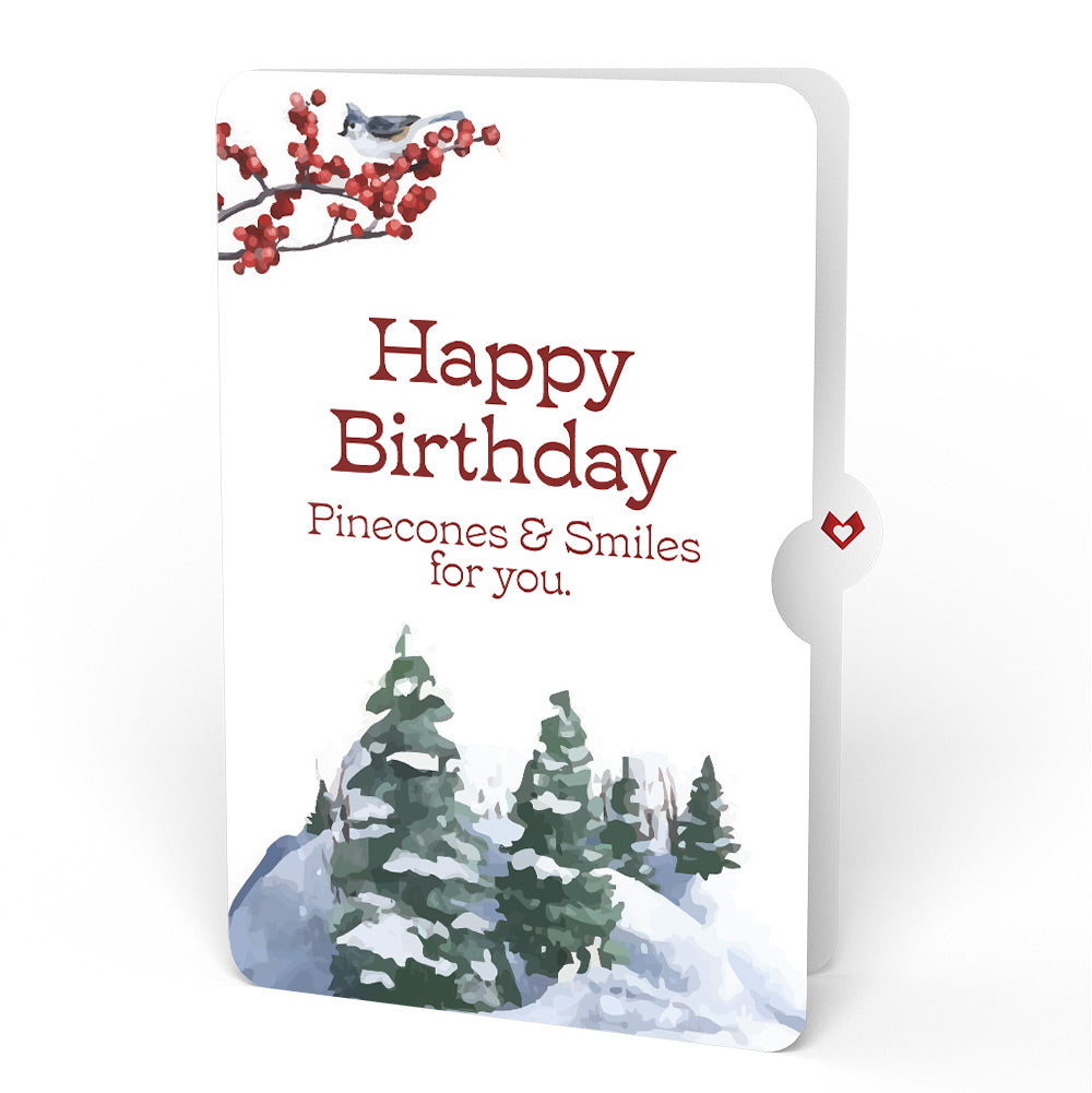 Snowfall's Hush Birthday Pop-Up Card and Sentiment Set