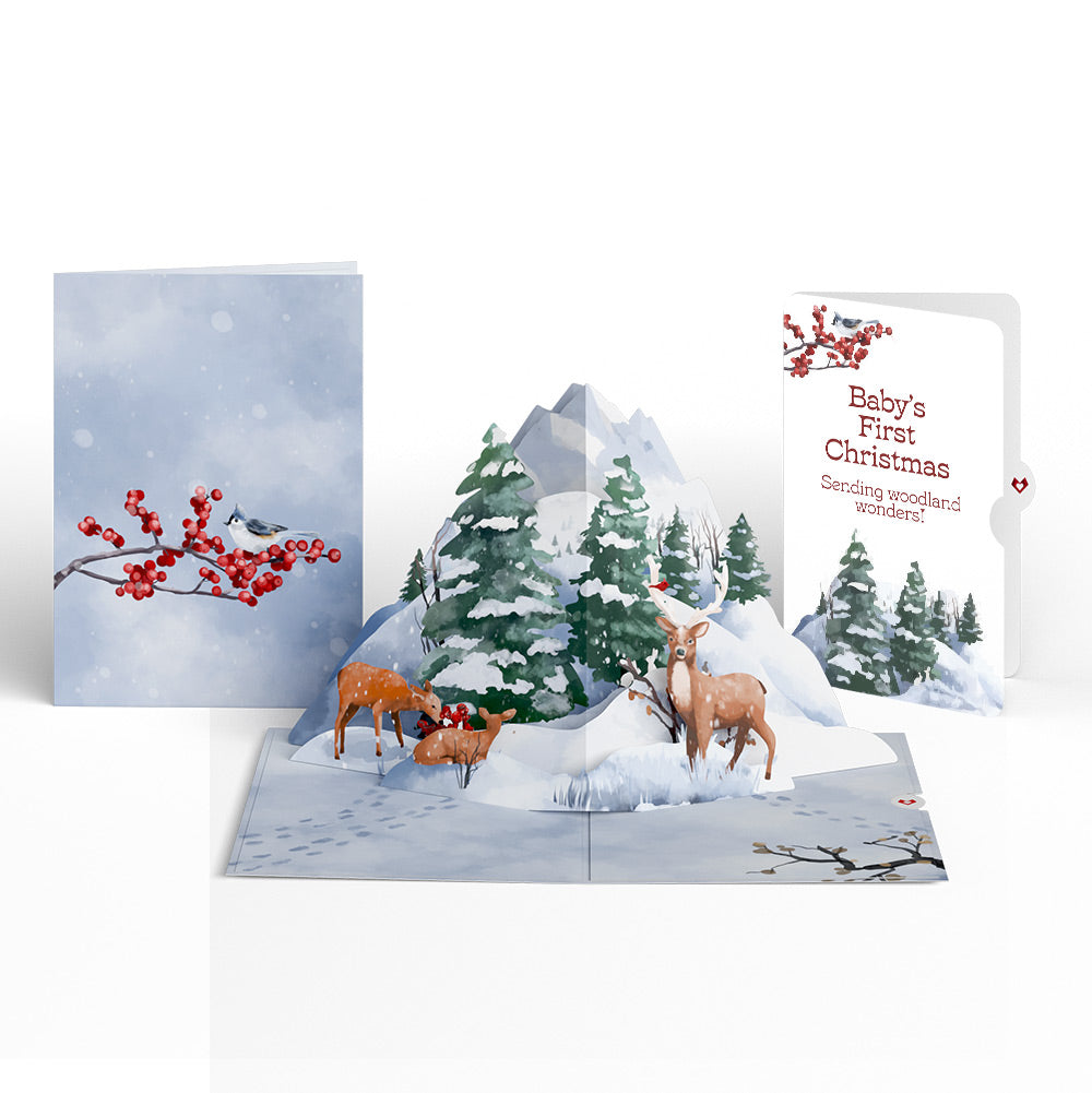 Snowfall's Hush First Christmas Pop-Up Card and Sentiment Set for Baby
