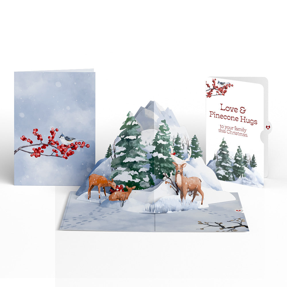 Snowfall's Hush Winter Pop-Up Card and Sentiment Set for Family