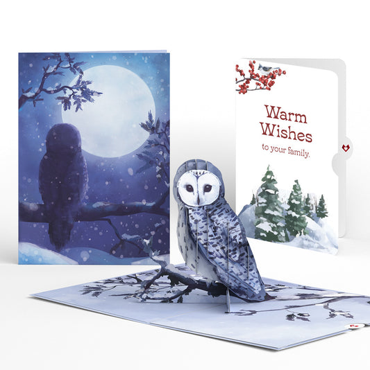 Snowy Owl Winter Pop-Up Card and Warm Wishes Sentiment Set for Family