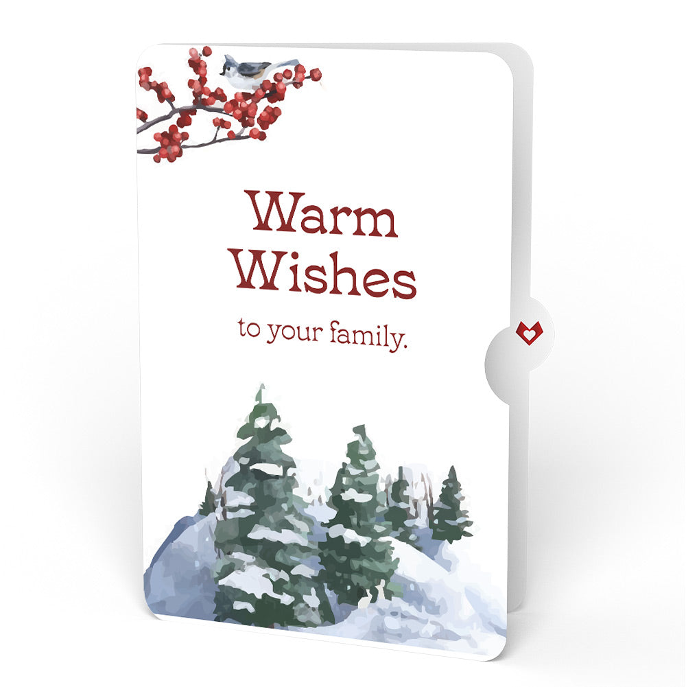 Snowy Owl Winter Pop-Up Card and Warm Wishes Sentiment Set for Family