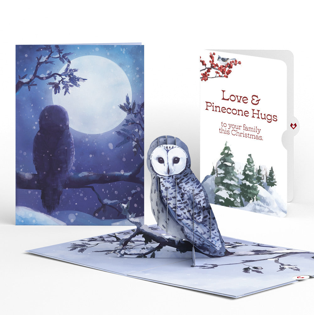 Snowy Owl Christmas Pop-Up Card and Sentiment Set for Family