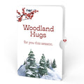 Poinsettia & Pine Winter Pop-Up Card and Sentiment Set