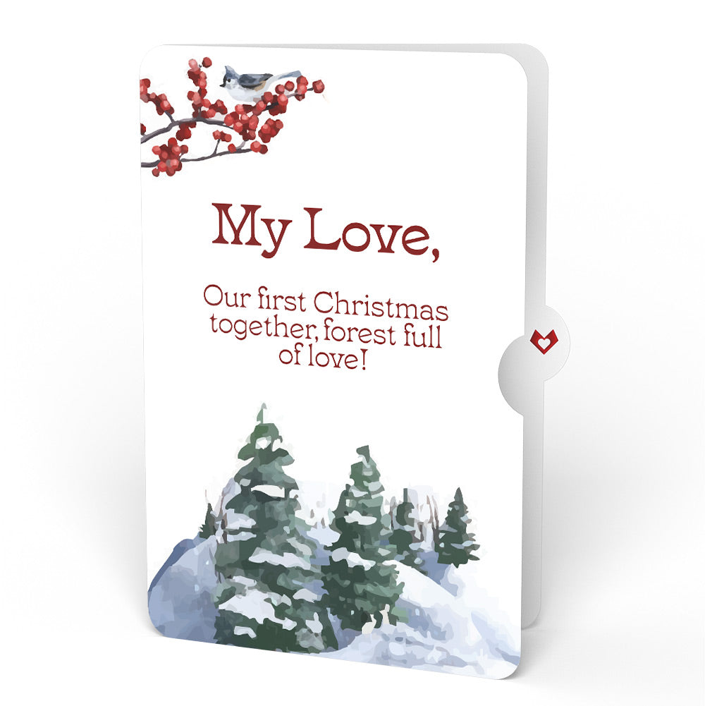 Winter Wishes Mountain Village First Christmas Light-Up Pop-Up Card and Sentiment Set for Partner