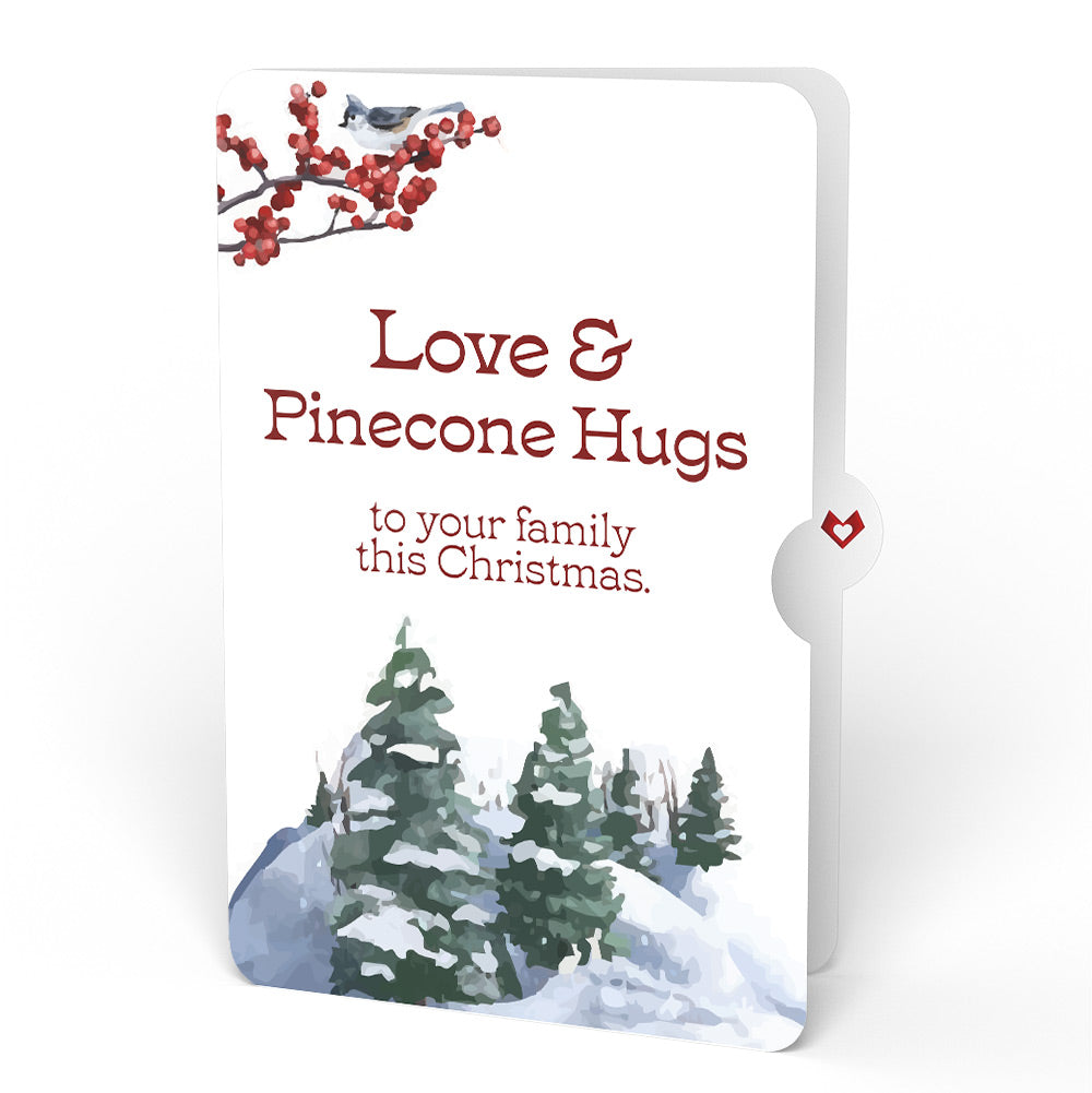 Winter Wishes Mountain Village Christmas Light-Up Pop-Up Card and Sentiment Set for Family